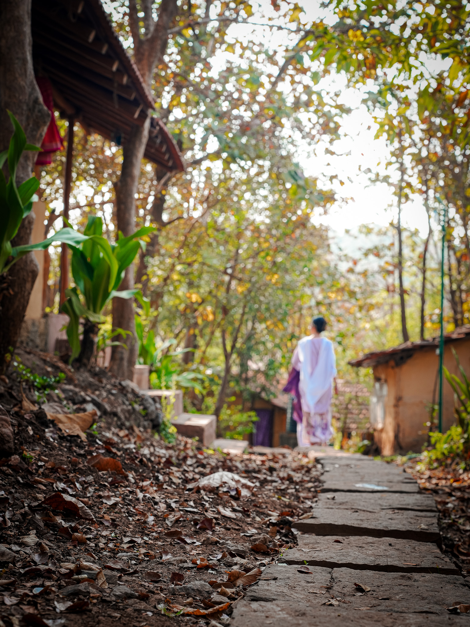 SONYJour203553 Venez et voyez la DCC VSI Volontariat en INDE KSV avec la Délégation Catholique pour la Coopération